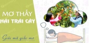 Ý nghĩa của nằm mơ thấy hái trái cây