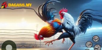 Lợi thế nổi bật giúp nền tảng khẳng định vị thế