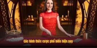 Các hình thức cược phổ biến hiện nay