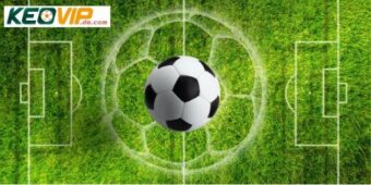 Chiến lược tận dụng Livescore vượt qua nhà cái