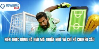 Tổng quan về tính năng chia sẻ kiến thức bóng đá mới nhất