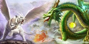 Hướng dẫn tham gia hiệu quả dành cho khách hàng