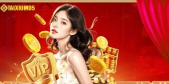 Chiến thuật cá cược hiệu quả cho thành viên