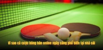 Vì sao cá cược bóng bàn online ngày càng phổ biến tại nhà cái