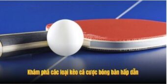 Khám phá các loại kèo cá cược bóng bàn hấp dẫn
