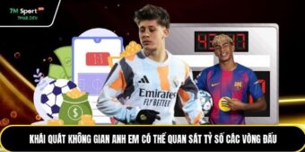 Tin Tức Thể Thao – Cập Nhật Nhanh Đa Dạng Giải Đấu