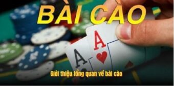 Giới thiệu tổng quan về bài cào
