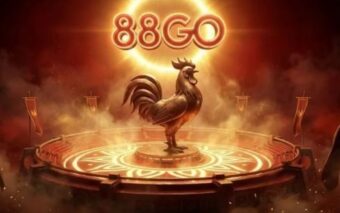 Giới thiệu về Đá gà 88Go và cách vận hành của game