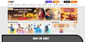 Quá trình phát triển bền vững của thương hiệu XIBET 