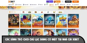 Những sảnh giải trí đa dạng và hấp dẫn tại nhà cái XIBET