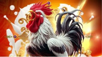 qq1