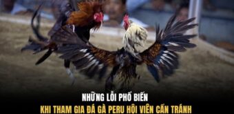 Những lỗi phổ biến khi tham gia đá gà Peru hội viên cần tránh