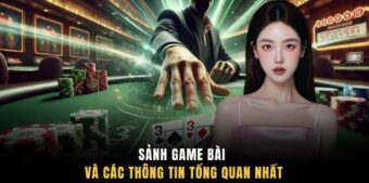 Sảnh game bài và các thông tin tổng quan nhất