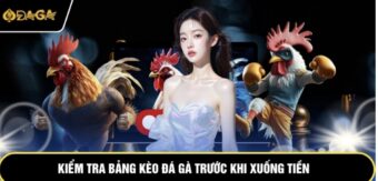 Bảng Kèo Đá Gà – Cập Nhật Liên Tục Từng Giây Căng Thẳng