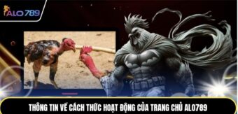 Trang Chủ ALO789 – Trung Tâm Truy Cập Và Điều Hướng Nhanh