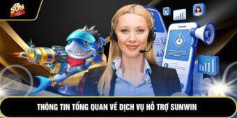 Thông tin tổng quan về dịch vụ hỗ trợ Sunwin