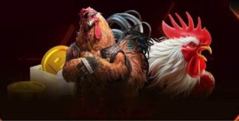 Đá gà U88 – Điểm đến lý tưởng dành cho người mê chiến kê