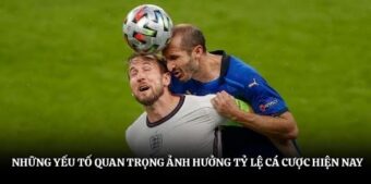 Những yếu tố quan trọng ảnh hưởng tỷ lệ cá cược hiện nay