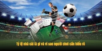 Bí Quyết Cách Đọc Tỷ Lệ Nhà Cái 99WIN Hiệu Quả Năm 2026