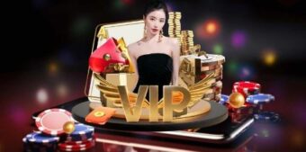Các dạng biểu đồ thống kê kết quả sòng bài