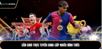 Sân chơi trực tuyến cung cấp nhiều hình thức