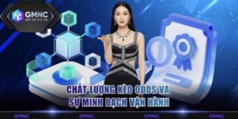 Chất lượng kèo Odds và sự minh bạch vận hành