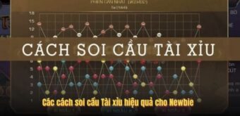 Các cách soi cầu Tài xỉu hiệu quả cho Newbie