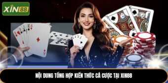 Nội dung tổng hợp kiến thức cá cược tại Xin88