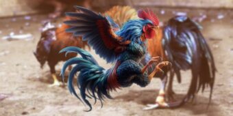 Giao diện thân thiện hỗ trợ trải nghiệm người dùng