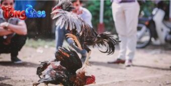 Trải nghiệm chuẩn mực giải trí số hiện đại và đẳng cấp