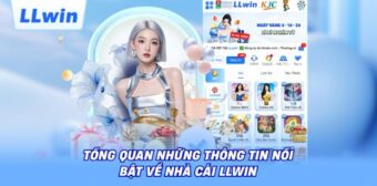 Các lỗi thường gặp khi đăng nhập tài khoản LLWIN