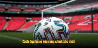 Cách đọc bảng kèo rung chính xác nhất