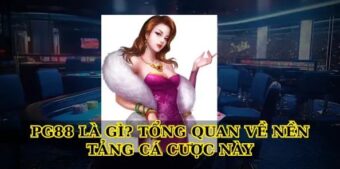 Pg88 – Sân Chơi Cá Cược Đỉnh Cao Uy Tín 2024