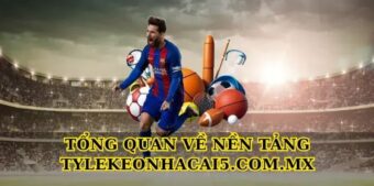 Tổng quan về nền tảng Tylekeonhacai5.com.mx