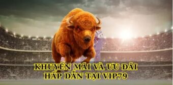 Khuyến Mãi Và Ưu Đãi Hấp Dẫn Tại Vip79