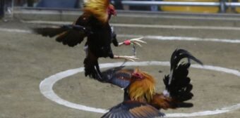 Không gian giải trí bảo mật và thanh toán siêu tốc