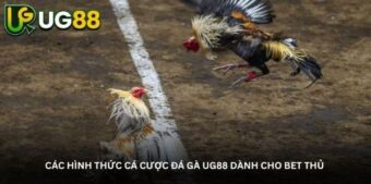 Các hình thức cá cược đá gà UG88 dành cho bet thủ