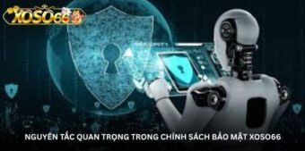 Nguyên tắc quan trọng trong chính sách bảo mật Xoso66