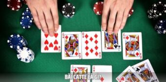 Giới thiệu về game bài Catte online