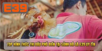 Top hình thức thi đấu phổ biến tại sảnh đá gà E39 uy tín