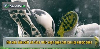 Tìm hiểu bản chất và cách thức hoạt động của kèo lội ngược dòng